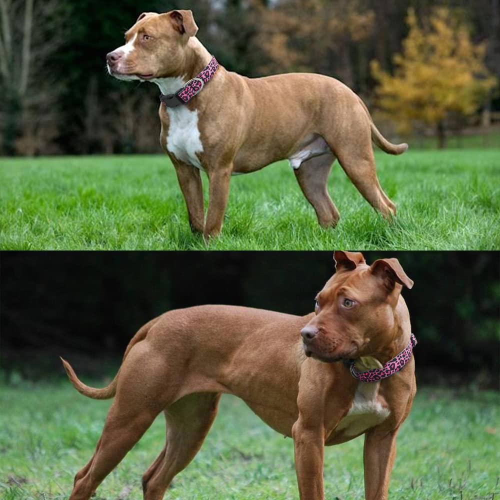 Amazon | DWOOFG かわいい犬の首輪 女の子用 丈夫 丈夫 バックル付き